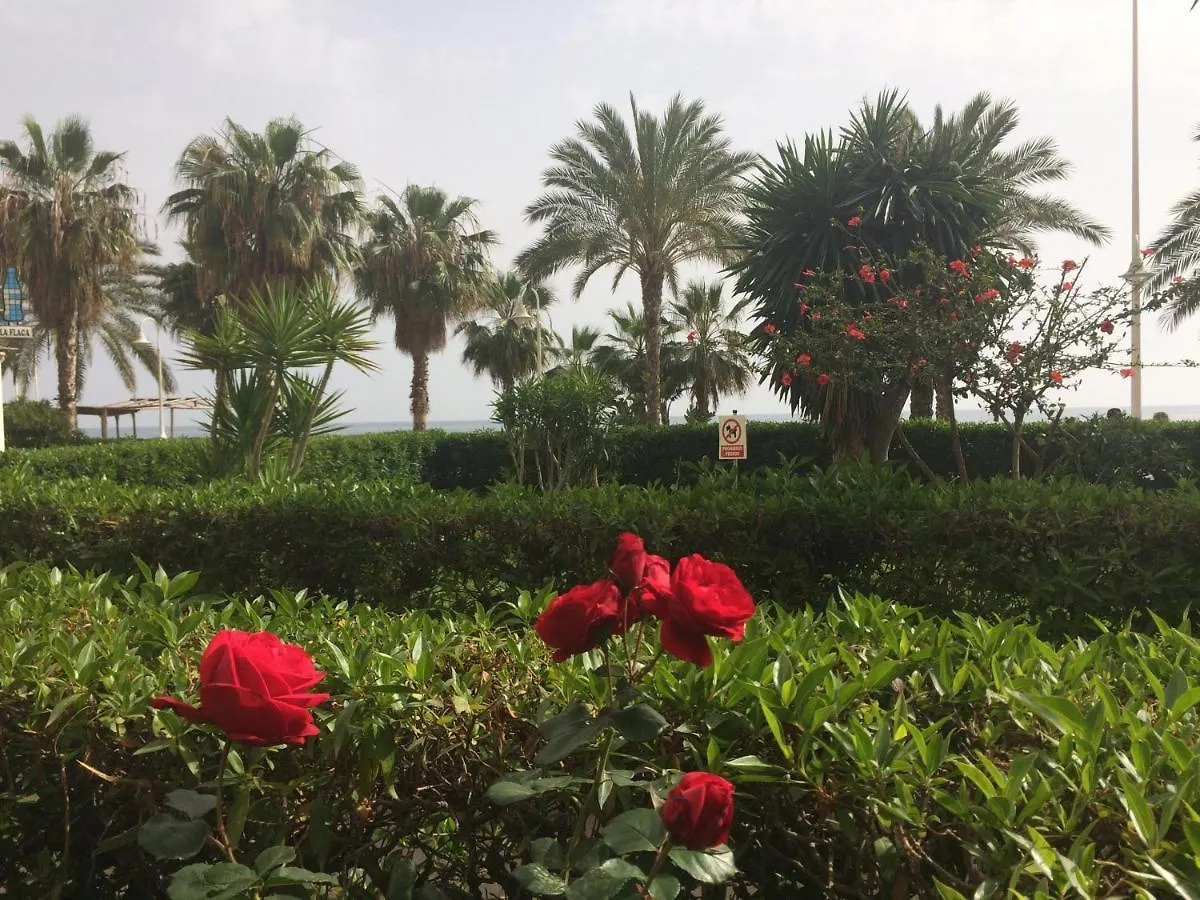 ألغاروبو - كوستا Una Gran Experiencia En La Costa Del Sol, A Pie De Playa 0*, ألغاروبو - كوستا إسبانيا